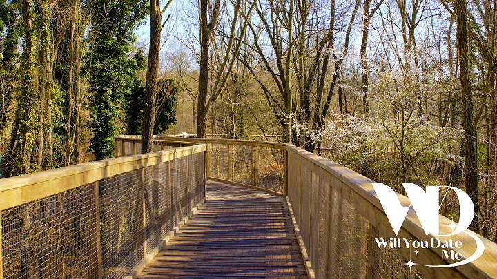 wandeling voor singles in Mechelen 26 juli 2025