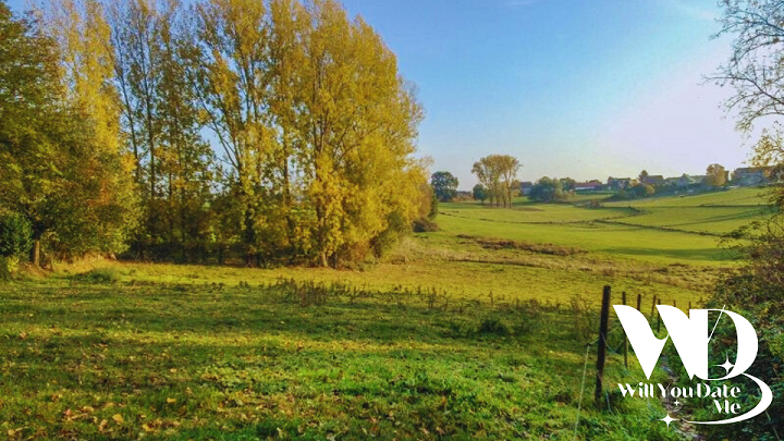 Singles Wandeling door de Vlaamse Ardennen