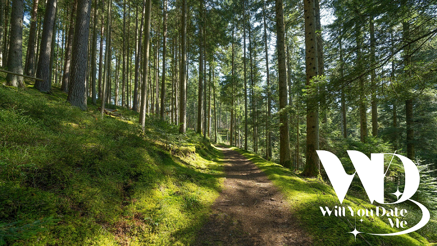 wandeling voor singles in de Oombergse Bossen