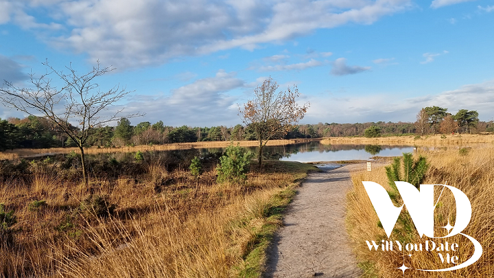 Wandeling voor Singles Kalmthoutse Heide