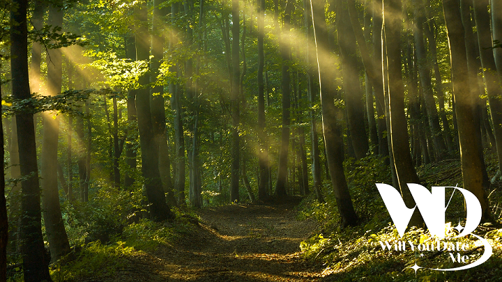 Wandeling voor Singles rond het Kluizenbos in Aalst
