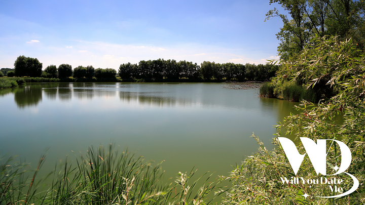Singles Wandeling Meetjeslands Krekengebied