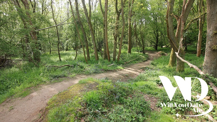 Singles Wandeling in het Duivenbos