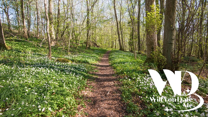 Singles Wandeling Kravaalbos in Aalst