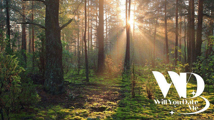 Singles Wandeling in het Drongengoedbos