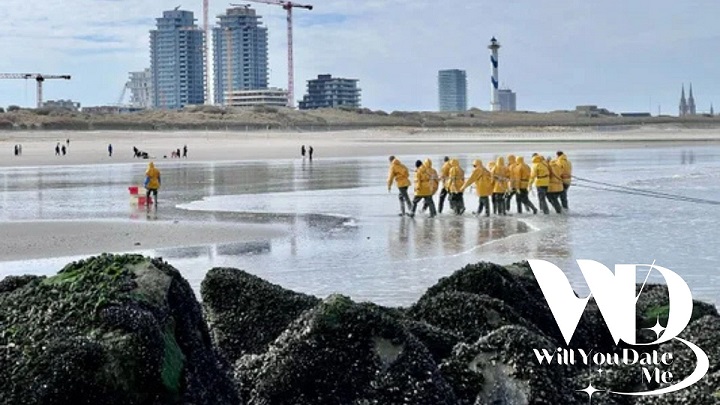 Garnaalvissen voor Singles in Oostende op 7 juni 2026