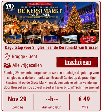 Daguitstap naar de Kerstmarkt van Brussel - 29 november 2026